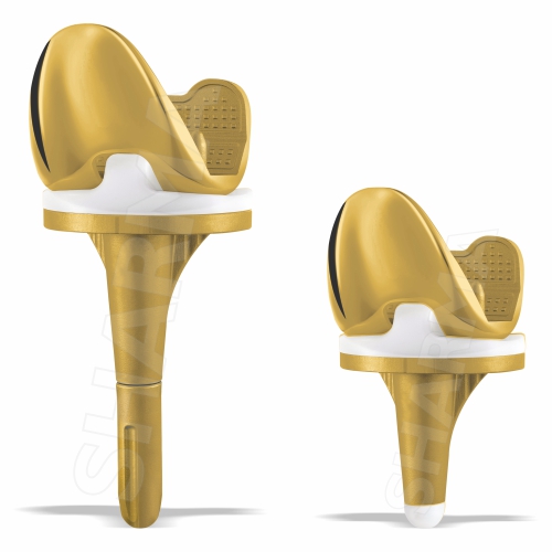ENTICE Total Knee Replacement Gold